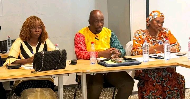 Guinée : Vers un cadre renforcé pour la gestion des produits chimiques