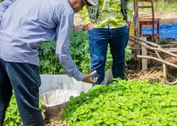 Guinée : La Chambre Nationale d’Agriculture en mission de terrain à Wonkifon