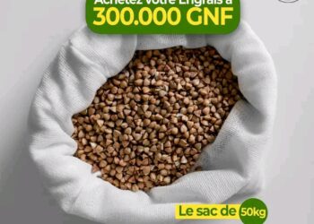 Guinée – Campagne Agricole 2026-2027 : Le prix des engrais officiellement fixé