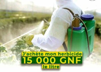 Guinée : Lancement de la campagne agricole 2026-2027 Accès facilité aux herbicides subventionnés