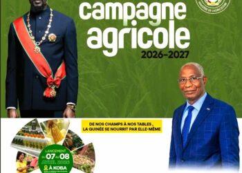 Campagne agricole 2026-2027 : La Guinée mise sur la relance et la diversification