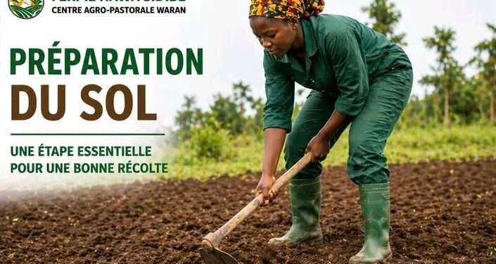 🇬🇳Agriculture : La ferme Hawa Sidibé mise sur la préparation du sol pour booster les rendements