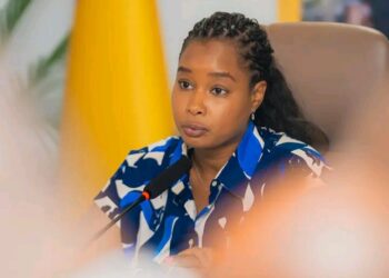 🇬🇳Réunion de cabinet au Ministère de l’Environnement : sécurité et projets au cœur des échanges