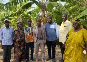 🇬🇳Appui au monde rural : La CNA intensifie son suivi-évaluation
