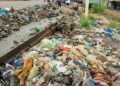 🇬🇳Insalubrité à Conakry : l’État seul responsable ? (OPINION)