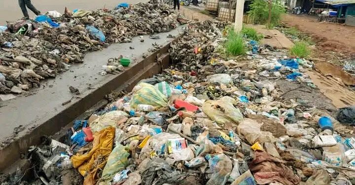🇬🇳Insalubrité à Conakry : l’État seul responsable ? (OPINION)