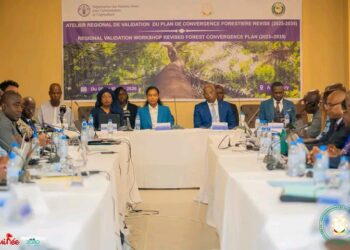 🇬🇳Conakry : La CEDEAO mobilisée pour l&rsquo;avenir des forêts ouest-africaines