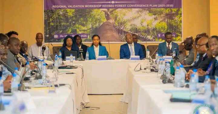 🇬🇳Conakry : La CEDEAO mobilisée pour l&rsquo;avenir des forêts ouest-africaines