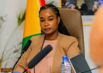 🇬🇳Ministère de l’Environnement : Rigueur et réformes au cœur de l’action