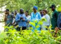 🇬🇳AgroTour 2026 en Haute-Guinée : Le gouvernement mise sur des actions concrètes pour moderniser l’agriculture