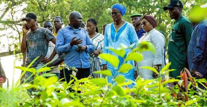 🇬🇳AgroTour 2026 en Haute-Guinée : Le gouvernement mise sur des actions concrètes pour moderniser l’agriculture