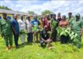 🇬🇳Journée de reboisement à Kankan : l’Université Julius Nyerere s’engage pour l’environnement