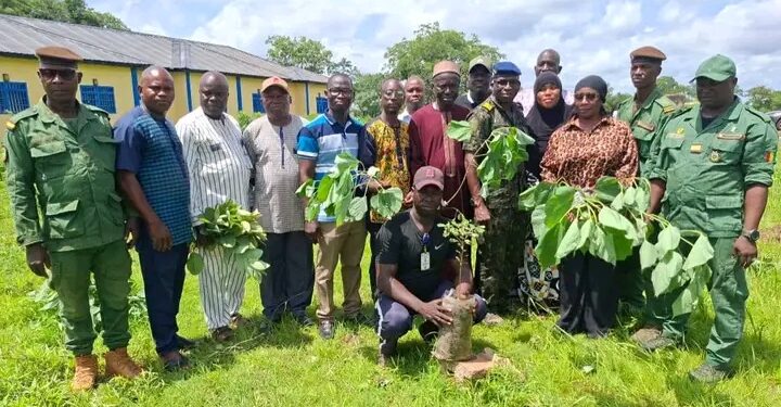 🇬🇳Journée de reboisement à Kankan : l’Université Julius Nyerere s’engage pour l’environnement