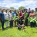 🇬🇳Journée de reboisement à Kankan : l’Université Julius Nyerere s’engage pour l’environnement
