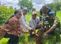 🇬🇳Journée de reboisement à Kankan : l’Université Julius Nyerere s’engage pour l’environnement