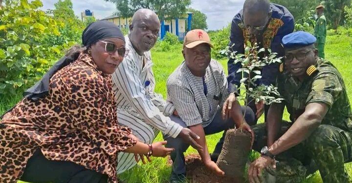 🇬🇳Journée de reboisement à Kankan : l’Université Julius Nyerere s’engage pour l’environnement