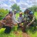 🇬🇳Journée de reboisement à Kankan : l’Université Julius Nyerere s’engage pour l’environnement