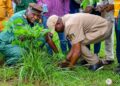 🇬🇳L’Université de Kindia s’illustre dans la préservation de l’environnement