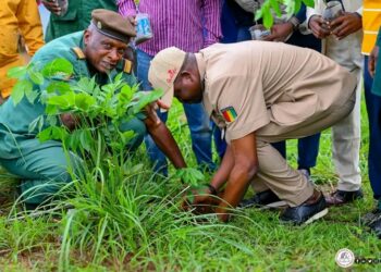 🇬🇳L’Université de Kindia s’illustre dans la préservation de l’environnement