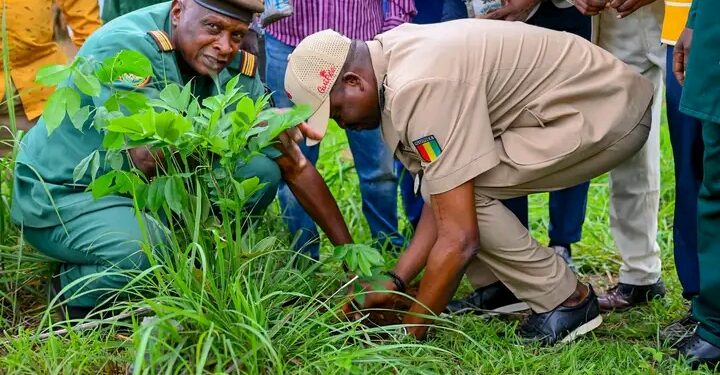 🇬🇳L’Université de Kindia s’illustre dans la préservation de l’environnement