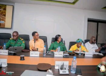 🇬🇳Ministre de l’Environnement : Une réunion de cabinet consacrée aux priorités écologiques
