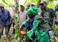 🇬🇳Agriculture 2026 à Beyla : Le suivi des filières café, cacao et riz au cœur de la mission