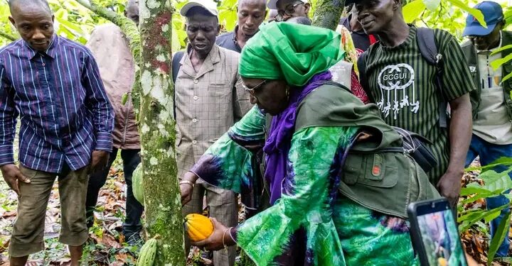 🇬🇳Agriculture 2026 à Beyla : Le suivi des filières café, cacao et riz au cœur de la mission