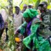 🇬🇳Agriculture 2026 à Beyla : Le suivi des filières café, cacao et riz au cœur de la mission