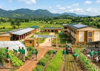 🇬🇳Guinée : Vers la construction de 4 lycées agricoles pour moderniser le secteur primaire