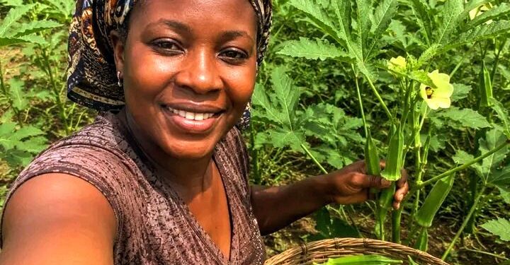 🇬🇳Agriculture : L’art d’anticiper pour mieux vendre