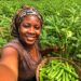 🇬🇳Agriculture : L’art d’anticiper pour mieux vendre