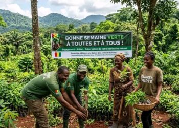 🇬🇳Direction nationale des Forêts : Un appel à l’action pour l’environnement