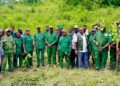🇬🇳N’Zérékoré : Lancement officiel de la campagne de reboisement à Koulé