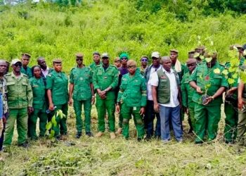 🇬🇳N’Zérékoré : Lancement officiel de la campagne de reboisement à Koulé