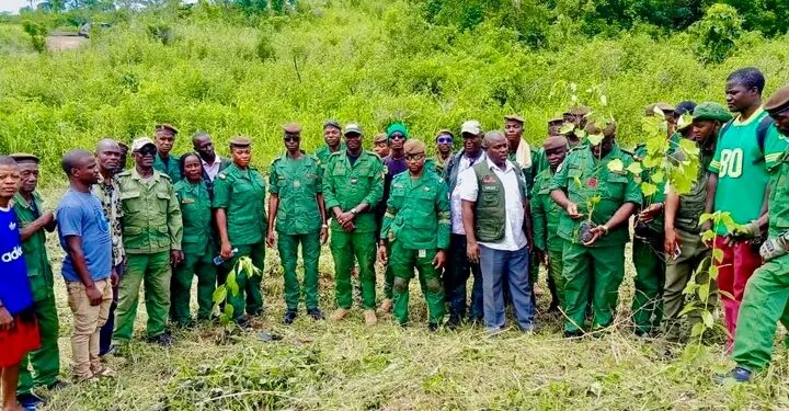 🇬🇳N’Zérékoré : Lancement officiel de la campagne de reboisement à Koulé
