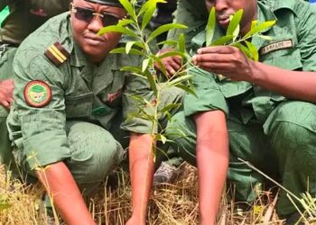 🇬🇳Étape de Kissidougou : Coup d’envoi de la campagne nationale de reboisement 2026