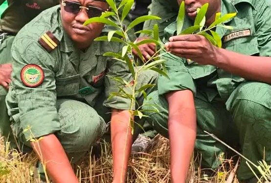 🇬🇳Étape de Kissidougou : Coup d’envoi de la campagne nationale de reboisement 2026