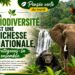 🇬🇳Direction nationale des Forêts : La biodiversité, un trésor national à préserver
