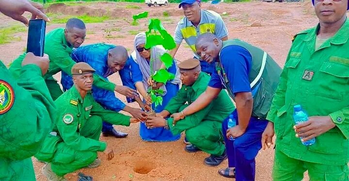 🇬🇳Kankan lance également la campagne nationale de reboisement 2025