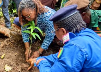 🇬🇳« Une Femme, Un Arbre » : L’édition 2026 lancée à Conakry