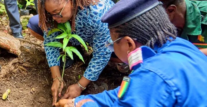 🇬🇳« Une Femme, Un Arbre » : L’édition 2026 lancée à Conakry