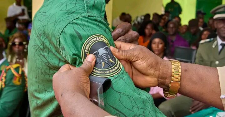 🇬🇳Ministère de l’Environnement : 70 éco‑gardes guinéens et sénégalais formés pour lutter contre la criminalité environnementale