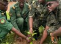 🇬🇳Kouroussa : Les Forces de Défense et de Sécurité s’engagent pour la restauration du couvert forestier