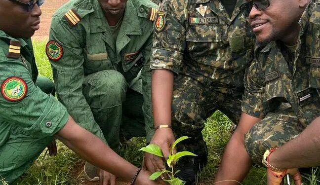 🇬🇳Kouroussa : Les Forces de Défense et de Sécurité s’engagent pour la restauration du couvert forestier