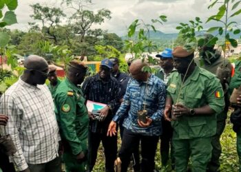 🇬🇳SIGUIRI : La préfecture s’engage pour un avenir vert