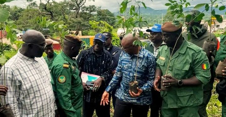 🇬🇳SIGUIRI : La préfecture s’engage pour un avenir vert