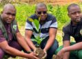 🇬🇳Kissidougou : Le Club Industriel de Kamsar engagé dans la campagne nationale de reboisement