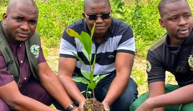 🇬🇳Kissidougou : Le Club Industriel de Kamsar engagé dans la campagne nationale de reboisement