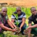 🇬🇳Kissidougou : Le Club Industriel de Kamsar engagé dans la campagne nationale de reboisement