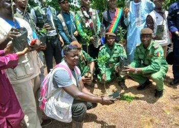 🇬🇳LABÉ : 376 plants d’oranger mis en terre à Pilimini pour renforcer la restauration du couvert végétal